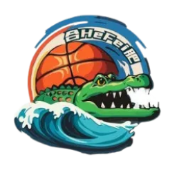 合肥女篮 合肥女篮