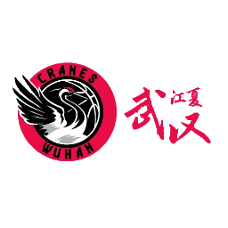 湖北女篮 湖北女篮